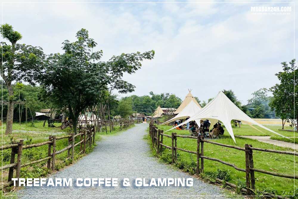TreeFarm Coffee & Glamping 