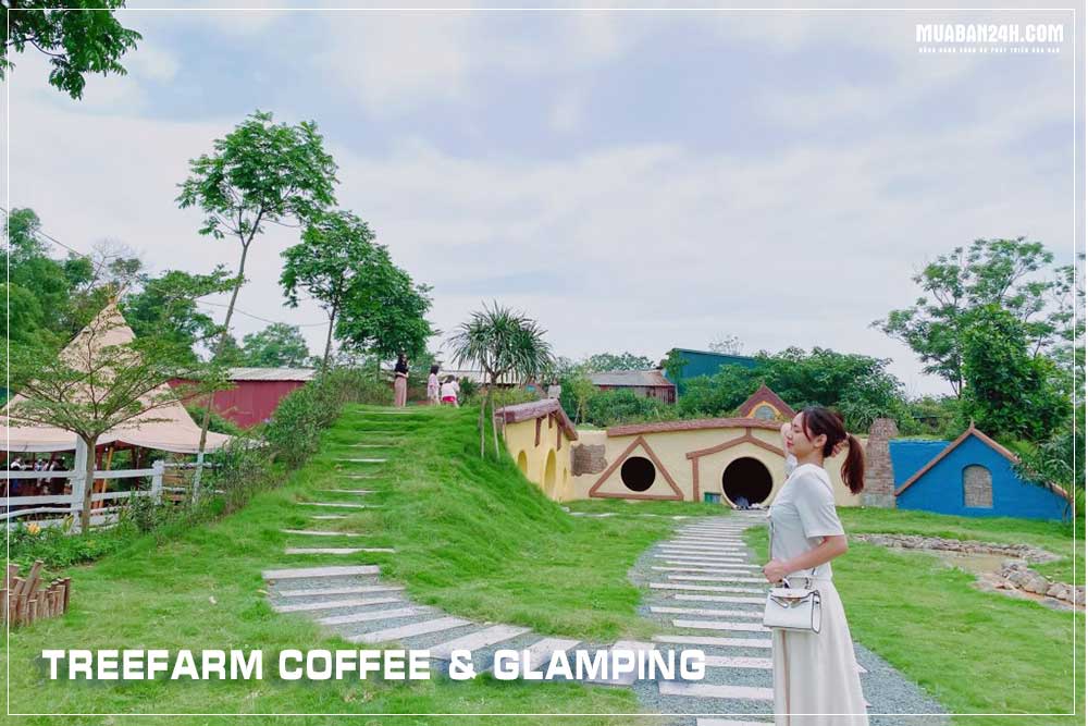 TreeFarm Coffee & Glamping