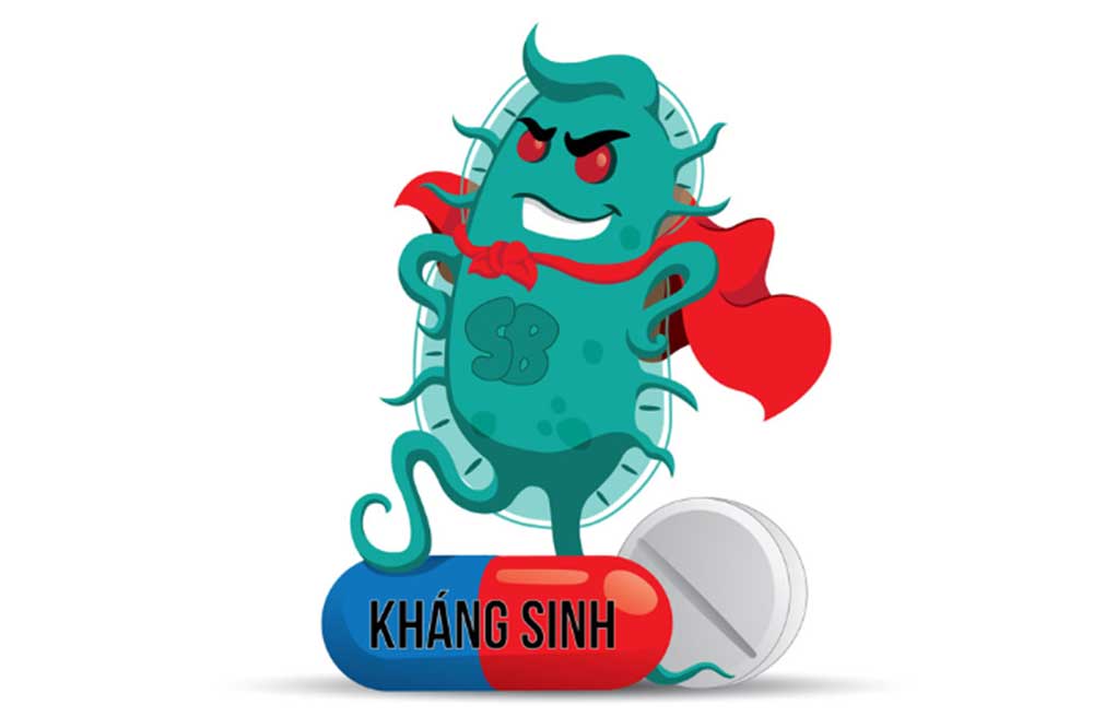 Giải pháp tiêu hóa khỏe không kháng sinh