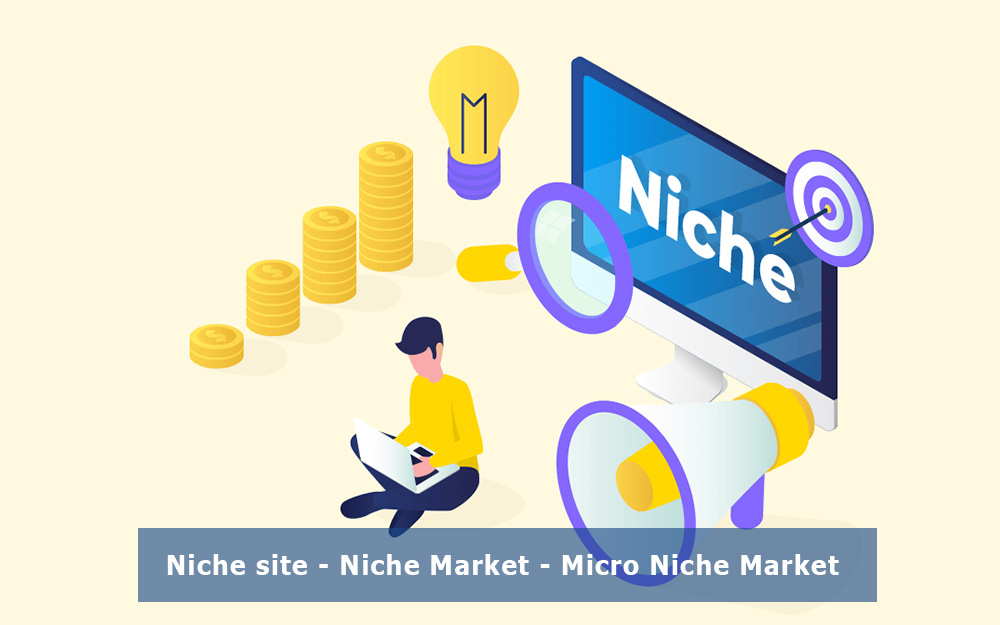 Niche site market là gì
