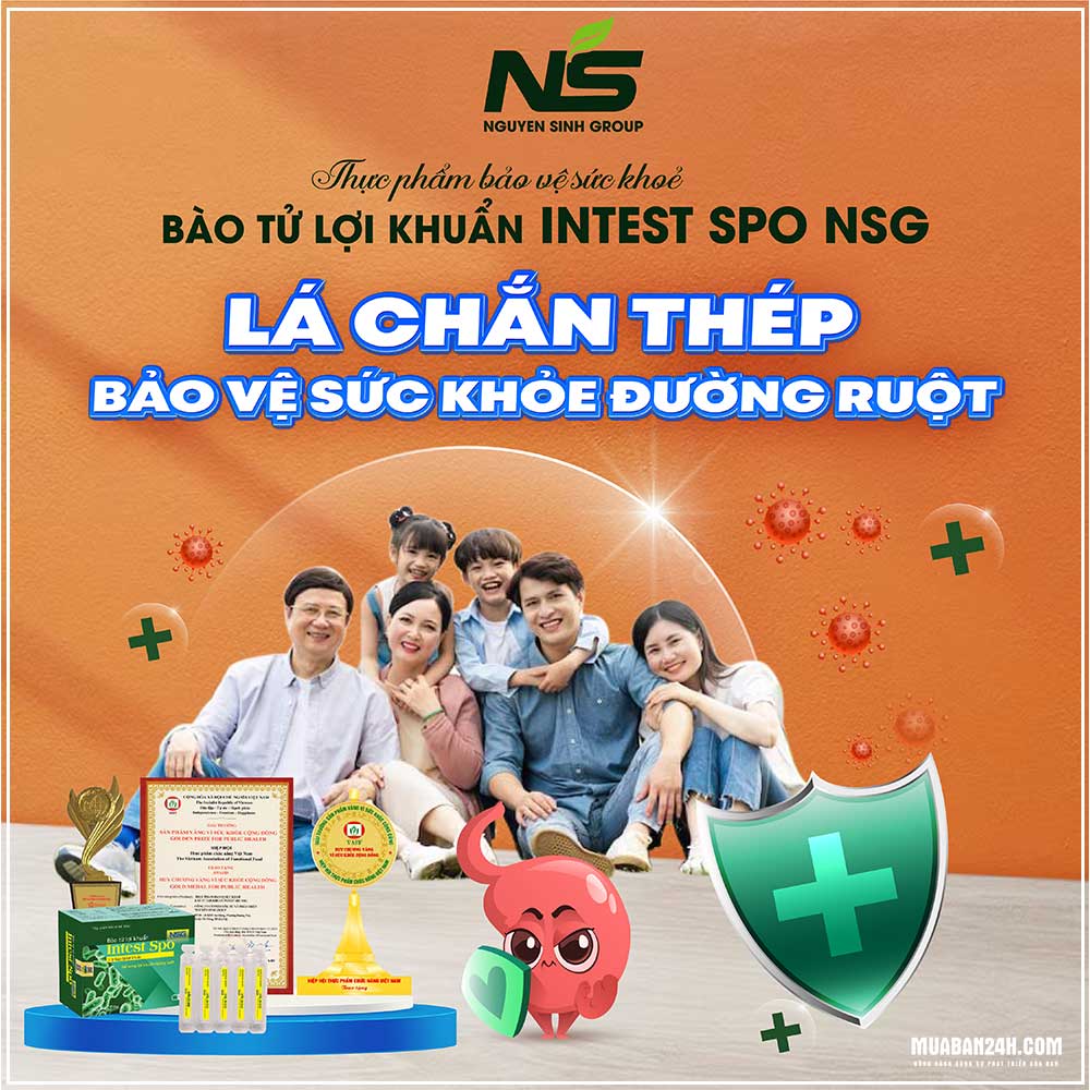 Chữa bệnh tiêu hóa không dùng kháng sinh