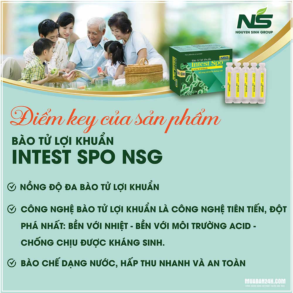 Chữa bệnh tiêu hóa không dùng kháng sinh