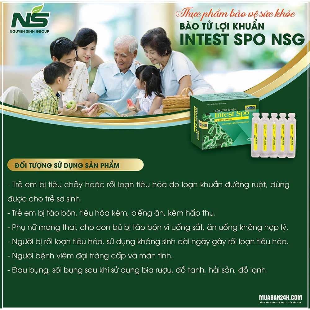 Chữa bệnh tiêu hóa không dùng kháng sinh